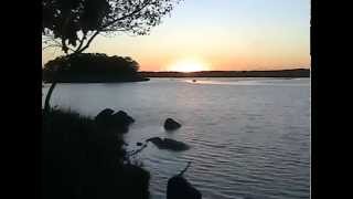 Sequence 01_2.mp4