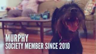 Hamilton Society Members