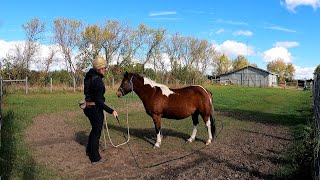 Lilly & the whip