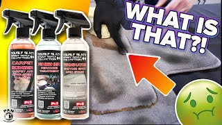 Celebrity How To Clean Nasty Carpets The EASY WAY - P&S Cleaning System Profile
