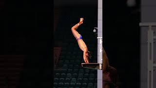 Sam Fricker Diving Sam Fricker Diving