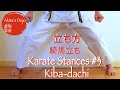Karate Stances # 3: Kiba-dachi 空手の立ち方、騎馬立ち【Akita's Karate Video】