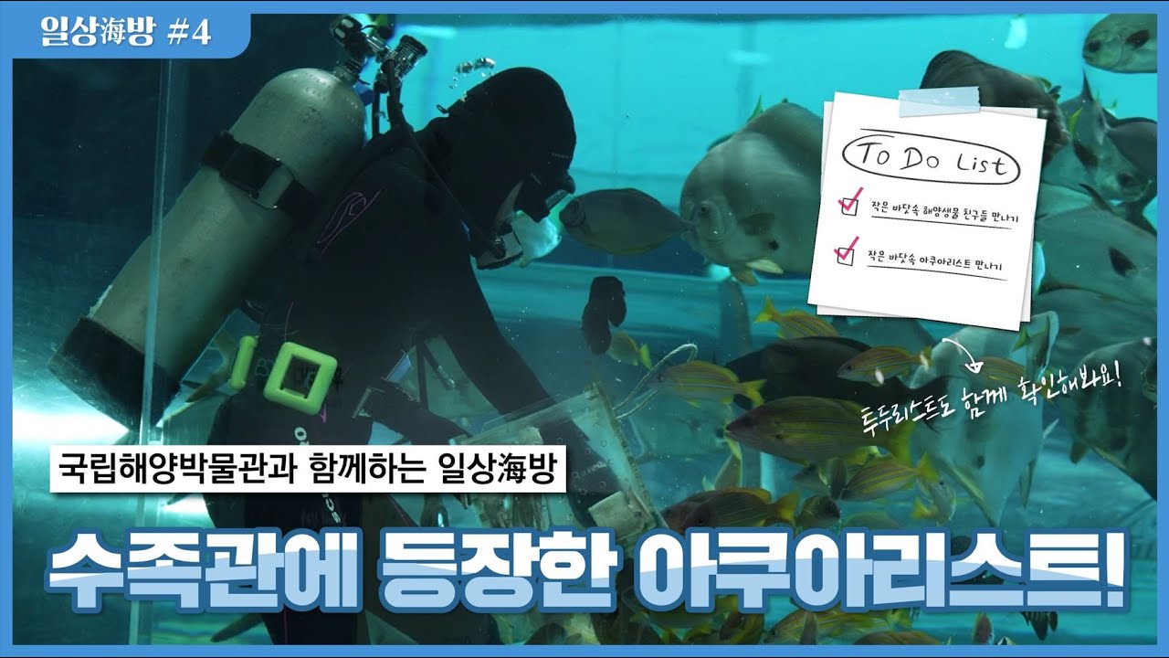 아쿠아리스트를 만나볼 수 있는 국립해양박물관 수족관!