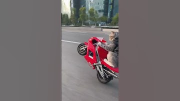 "HIT IT!" - This Cat Understood The Assignment 🤯