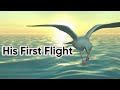 His first flight class 10 animation in english two stories about flying part1 animated