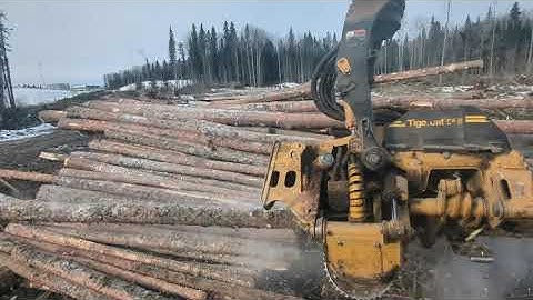 Insane Logging Machines at Work | Tigercat 850 + 568 Platform | Alberta Forestry