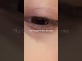 lol #lashes #trend #trending #happy #grateful #hopeful #happy #eyes #blue #brown