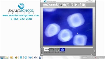 SmartMicroScope handheld digital microscope Time-Lapse Video Tutorial
