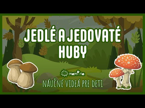 Video: Sú jedle jedovaté?