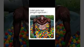 Zekke Beast Titan Meme Dan Hidup Memang Kejam #meme #renang #attackontitan #jujutsukaisen #anime