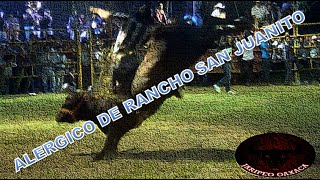 EL ALÉRGICO DE RANCHO SAN JUANITO