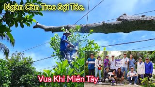 Thật Bất Ngờ ! Khi Vua Khỉ cưa cây Sao Treo cả thân thì được tặng 2 cái máy cưa và mấy cái áo.