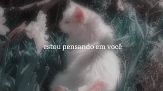 pensando em você - legendado (versão nina fernandes)