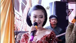 OPENING ZELINDA  || COVER ZELINDA MUSIC || JANGKAR AUDIO || AP MULTIMEDIA