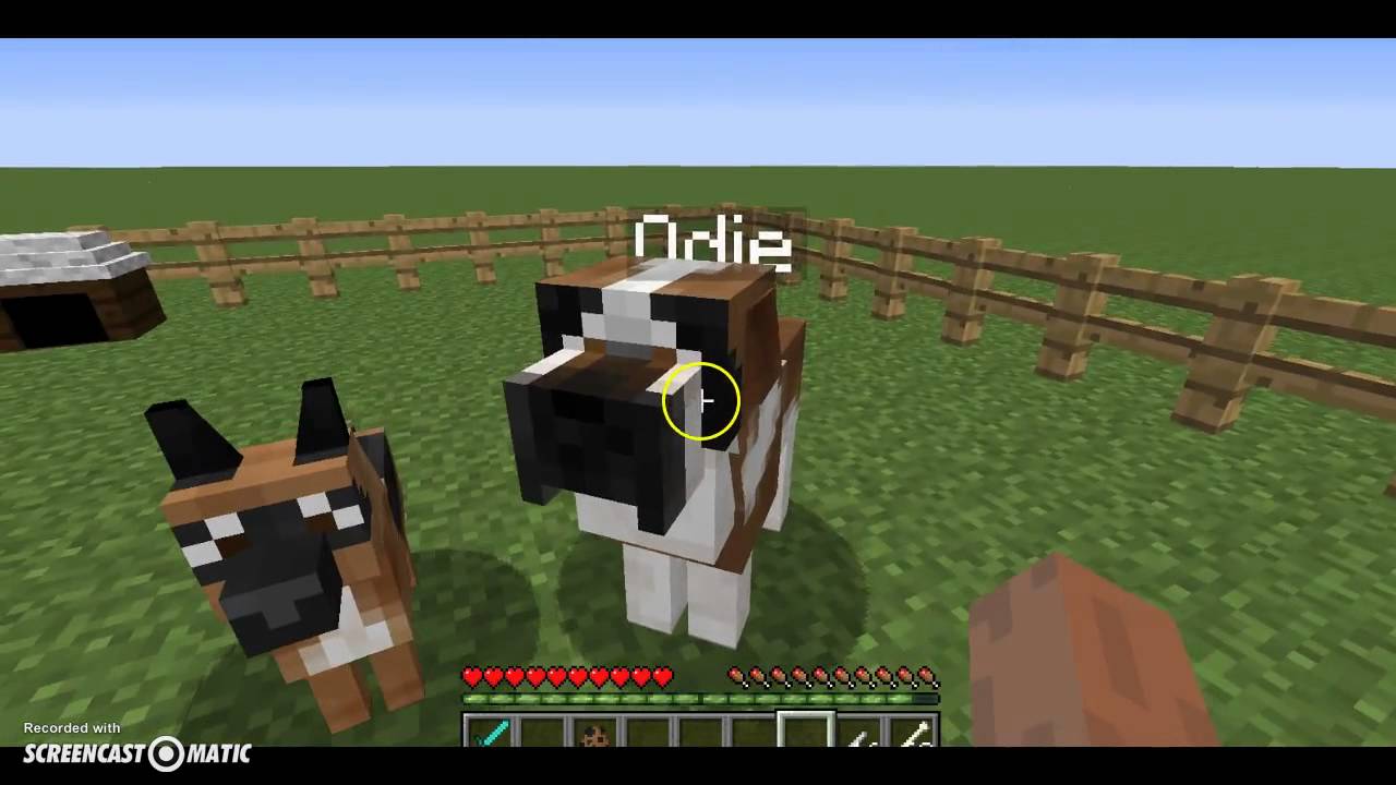 MODS! Tenho um Pastor alemão - YouTube