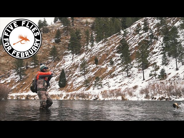 Five Flies for February 2021  Winter Fly Fishing in Colorado