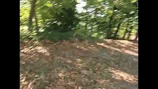 Palavras No Bosque das Termas das Caldas da Saude Santo Tirso 13 de Setembro de 