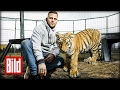 Rapper Kontra K baut Gehege für Tigerbaby