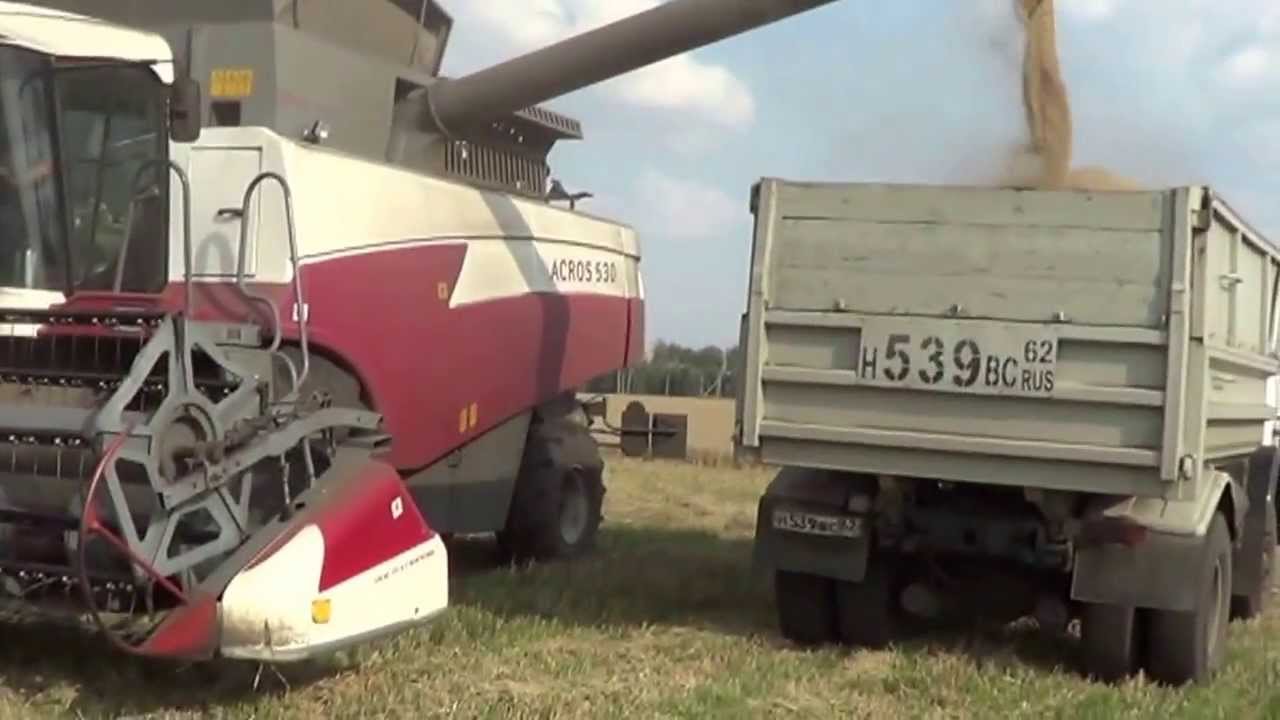 Двигатель палессе gs12