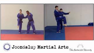 JMA   Kicks   Jump Reverse Instep Kick