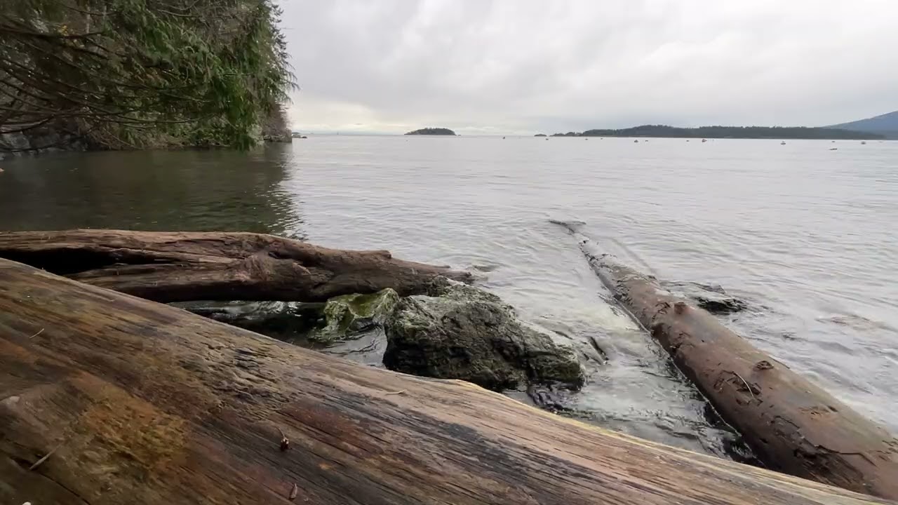 The Most Relaxing Ocean Sounds Ever | Pacific Northwest | Ocean Sounds to Sleep, Study and Relax