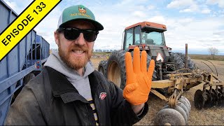 A Farmers Guide to Self-Isolation and Quarantine! | Tractor Video | Day 3