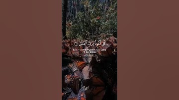 تلاوة خاشعة سورة الفلق  القارئ رعد الكردي #المصحف #الرحمن #راحة_نفسية #القرآن_الكريم