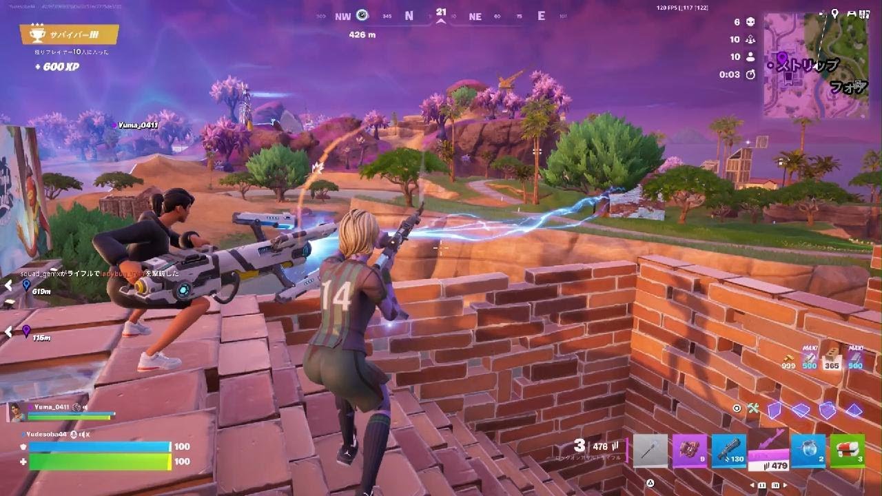 Fortnite_20260223101209野良