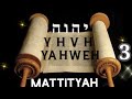 TORAH MESIANICA MATTITYAH  16 AL 22