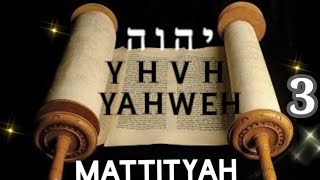 TORAH MESIANICA MATTITYAH  16 AL 22