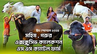 দুষ্ট মিষ্টি বাহারি নামের নজর কাড়া সব গরু,মহিষ দেখতে পাবেন এই ফার্মে । SS Cattle Farm