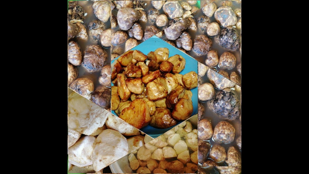 Arabic expensive MUSHROOMS 🍄 PAGA ARABIC MUSHROOMS V_012 YouTube