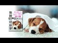 明晰夢を見るためのイメージワーク誘導音源【無敵の明晰夢: 「夢と現実」からスッキリ目覚めて自分らしく生きる 瞑想×夢見 Lucid Dreaming】