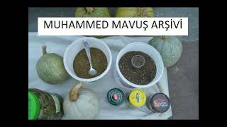 Nurten İnnap Başında Puşan Kurban