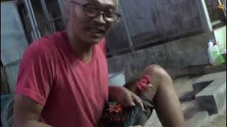 Cara Steam Ayam Barracuda Farm Purwokerto
