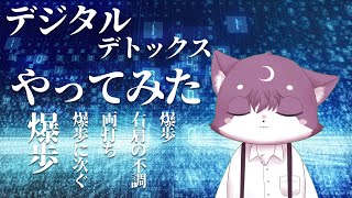 【雑談】デジタルデトックスやってみた猫【爆歩】