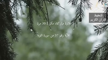 الآية رقم 37 من سورة التوبة - مكررة 30 مرة