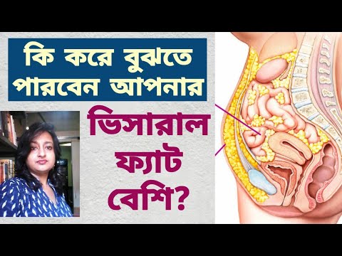 How do you know if you have Visceral Fat | How do you Lose Visceral Belly Fat in 2020 | Bangla Video