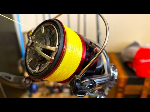 Spinning Reel Maintenance: How To Make Your Spinning Reels Last Longer