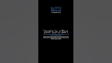 سورة المائدة:الآية[١٠٥]#القرآن_الكريم#الفرقان #سورة_المائدة #محمد_اللحيدان #القران_الكريم #قران_كريم