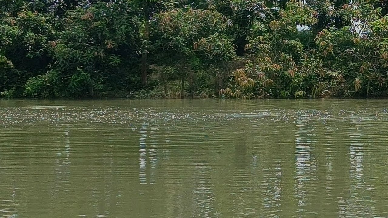 Primitive Fishing By Akib is live