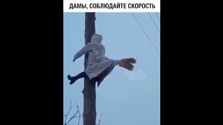 Подборка лучших и очень смешных приколов за февраль 2020. #29