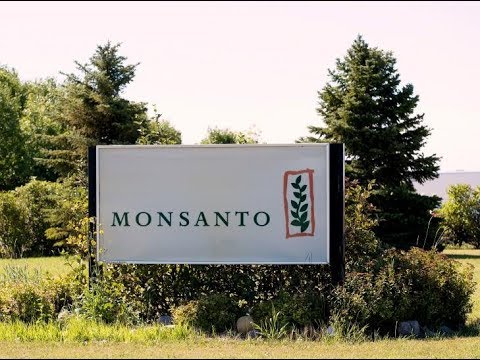 Large US Farm Study Finds No Cancer Link to Monsanto Weedkiller