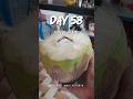 Day 58 | A Day In My Life | Tick Tick App Tutorial | Study &amp; Work Vlog