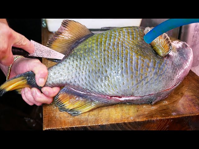 Japanese Street Food - GIANT TRIGGER FISH Dipping Noodles Okinawa Seafood Japan | Travel Thirsty