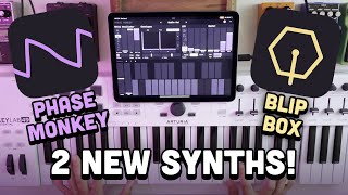 Phase Monkey & Blip Box by Sketch Audio | Presets Demo & Fat Synth Drums screenshot 2