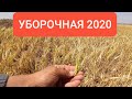 УБОРОЧНАЯ 2020 , озимый ячмень . Harvest 2020 Ukraine.