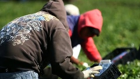 Senate Democrats want path to citizenship for immigrants