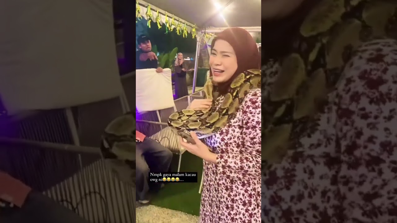 Hahaha Kesian Member Takut Ular!!!! 😂 