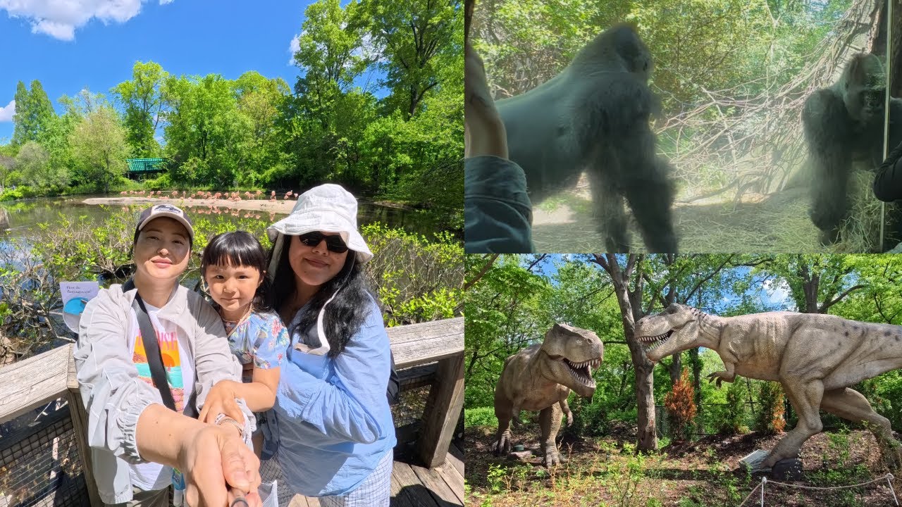 Experience the largest metropolitan zoo in the world || Gorilla Fight 😱|| Tibetan Vlogger || NYC ||